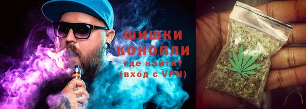 PSILOCYBIN Каменск-Шахтинский